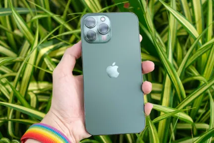 QuinnBet Casino Mobilapp